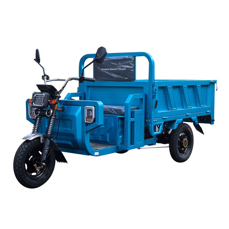 Triciclo elétrico doméstico pa - Power Tools King avaliação e preço